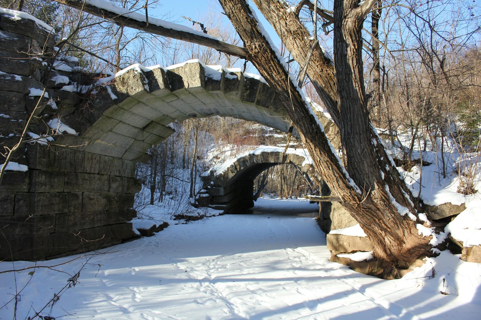 Looking north into remains